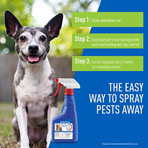 Adams Plus Flea & Tick Spray for Dogs and Cats - 16 Oz