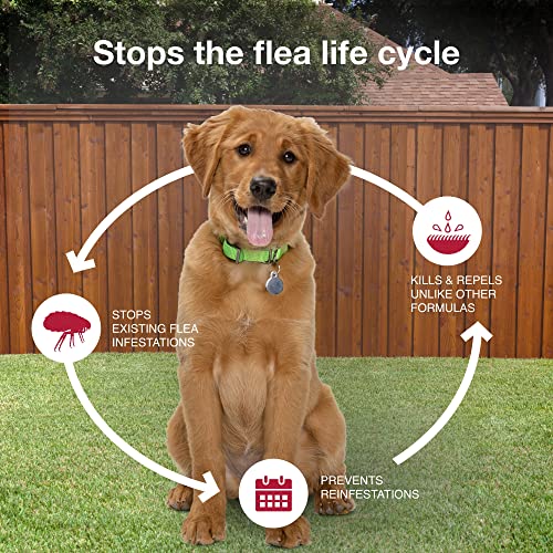 Bayer K9 Advantix II Flea, Tick and Mosquito Prevention for Medium Dogs, 11 - 20 lb, 4 doses