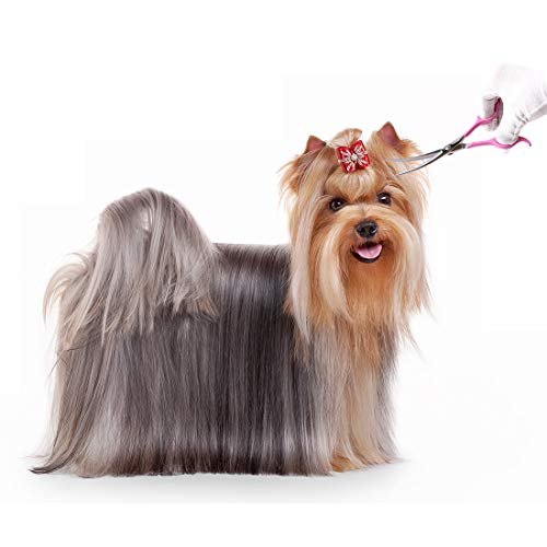 TooSharp Dog Grooming Curved Scissor - 7 Inch Professional Sharp Trimming Shears Designed for Right/Left handers for Long Short Hair of Cat Pet