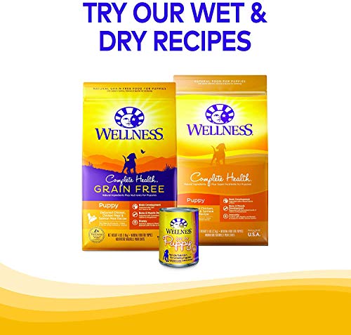 Wellness Natural Pet Food Grain Free Puppy Training Treats, 2 Pack