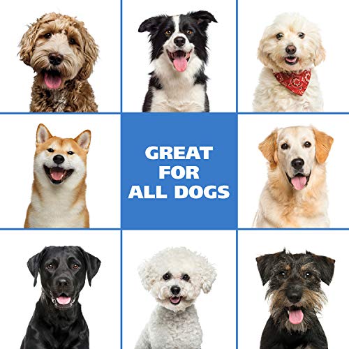 Wahl Pet Friendly Waterless No Rinse Shampoo for Animals â Oatmeal & Coconut Lime Verbena for Cleaning, Conditioning, Detangling & Moisturizing Dogs, Cats & Horses â 7.1 Oz