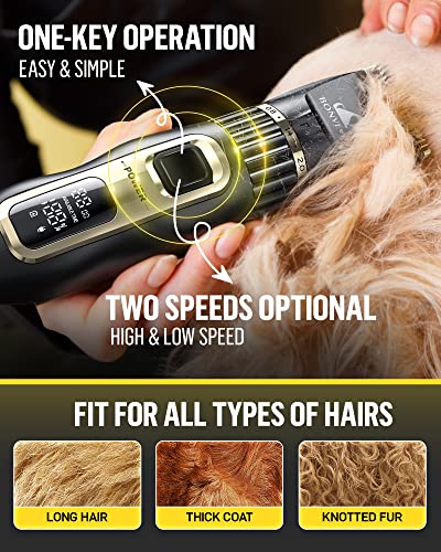 Quiet Rechargeable Dog Clippers for Grooming - All Sizes
