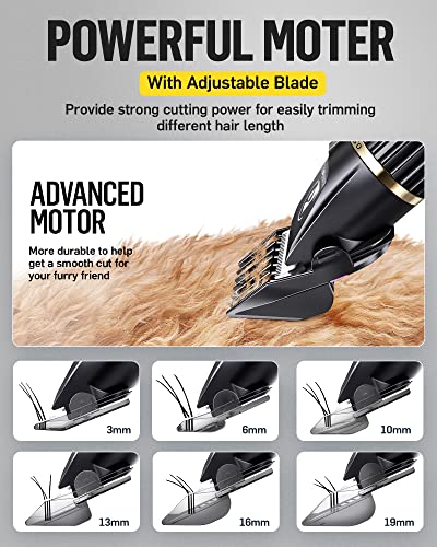 Quiet Rechargeable Dog Clippers for Grooming - All Sizes