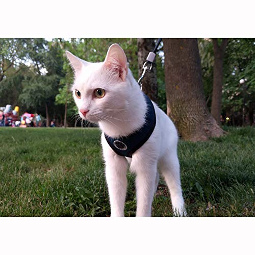 WONDERPUP Soft Mesh Dog Harness No Pull Walking Comfort Padded Vest Harnesses Adjustable Black L