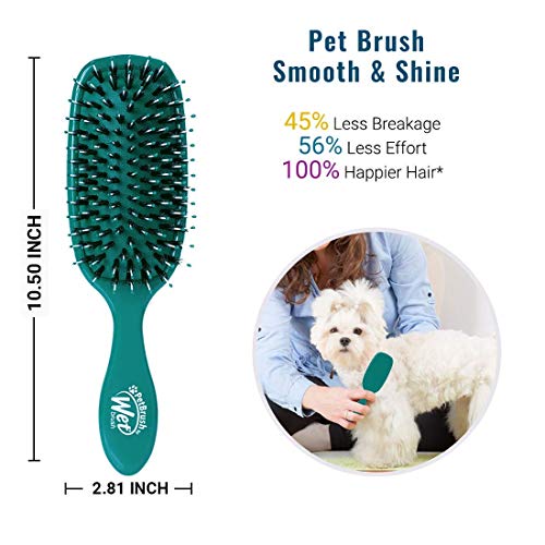 Wet Brush Pet Brush, Smooth & Shine Dog and Cat Brush - Teal (BPET833TEAL)