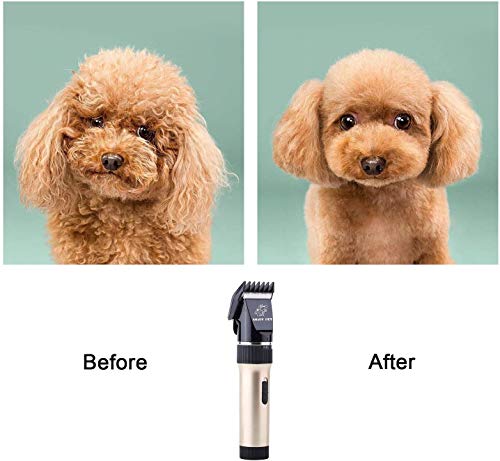 ENJOY PET Professional Dog Grooming Kit