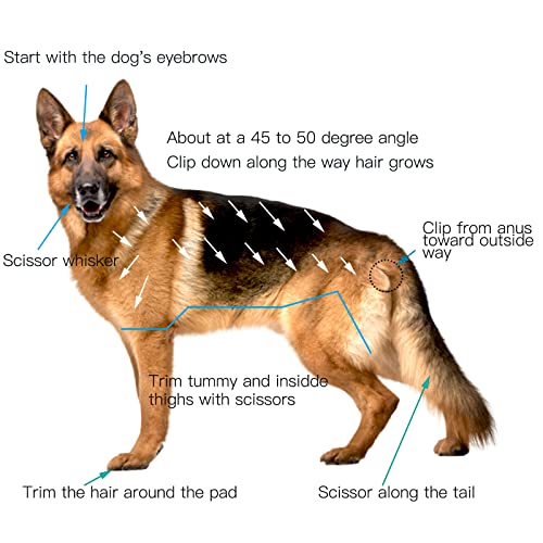 JiangWaveT Dog Cat Clippers Grooming Kit - Professional Cordless Rechargeable Dog Clippersï¼Low Noise & Suitable Horse Cat Dog Hair Clippers Shaver Tools