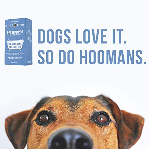 Dog Shampoo with Oatmeal and Aloe. Shea Butter for Smelly Dogs, Dry Itchy Skin, Puppy Shampoo, and Sensitive Skin by Oliver's Choice 16 oz