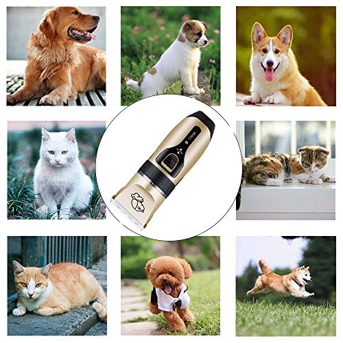 Glosell Dog Grooming Kit, Low Noise, Electric Quiet, Rechargeable, Cordless, Pet Hair Thick Coats Clippers Trimmers Set, Suitable for Dogs, Cats, and Other Pets (Clippers Set only)