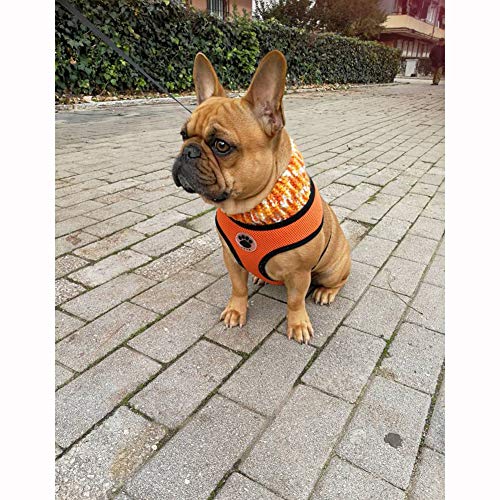 WONDERPUP Soft Mesh Dog Harness No Pull Walking Comfort Padded Vest Harnesses Adjustable