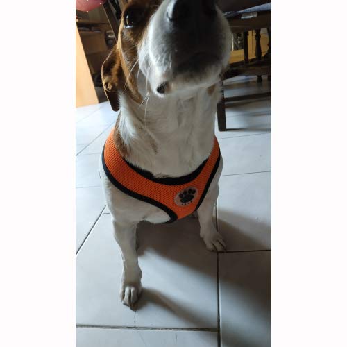 WONDERPUP Soft Mesh Dog Harness No Pull Walking Comfort Padded Vest Harnesses Adjustable