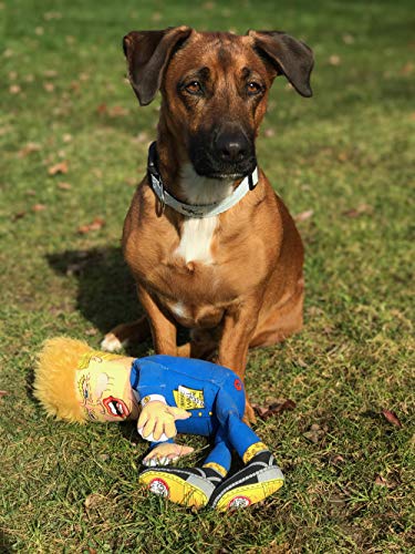 FUZZU Donald Trump Political Parody Novelty Durable Dog Chew Toy with Squeaker, Large 17"