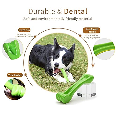 EETOYS Dog Toy for Aggressive Chewers and Teething Puppy Durable Dog Chew Toy Made with Hard Nylon Heavy Duty Tough Dog Toy for Small Medium Large Dogs (Dogs up to 35 lbs, Green)