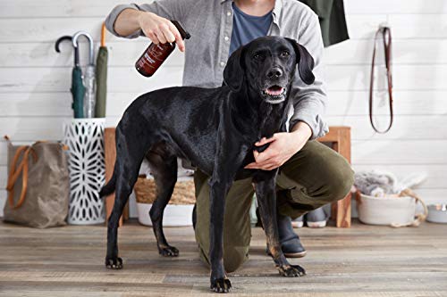 The Spruce Waterless Pet Wash, No Rinse Moisturizing Shampoo forÂ PetsÂ - Daily Pet Care - Cleaning, Cleansing, and Conditioning for Dogs, Puppies, and Cats - Fresh, 17oz, 2 Pack