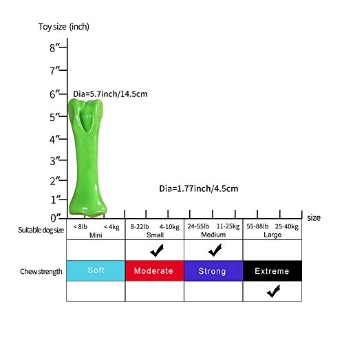 EETOYS Dog Toy for Aggressive Chewers and Teething Puppy Durable Dog Chew Toy Made with Hard Nylon Heavy Duty Tough Dog Toy for Small Medium Large Dogs (Dogs up to 35 lbs, Green)
