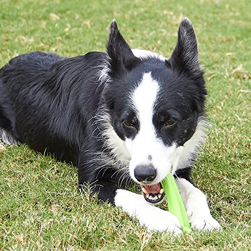 EETOYS Dog Toy for Aggressive Chewers and Teething Puppy Durable Dog Chew Toy Made with Hard Nylon Heavy Duty Tough Dog Toy for Small Medium Large Dogs (Dogs up to 35 lbs, Green)