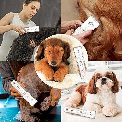 Maxshop Pet Grooming Clippers, Professional Quiet Rechargeable Cordless Pet Hair Clippers with Comb Guides Scissors Stainless Steel Blades Kit for Dogs Cats,Pets Long Short Hair Shave (White)