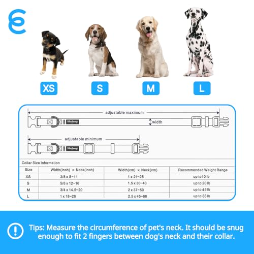 Blueberry Pet Essentials 21 Colors Classic Dog Collar, Rouge Red, Large, Neck 18"-26", Nylon Collars for Dogs