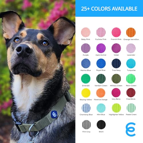 Blueberry Pet Essentials 21 Colors Classic Dog Collar, Rouge Red, Large, Neck 18"-26", Nylon Collars for Dogs