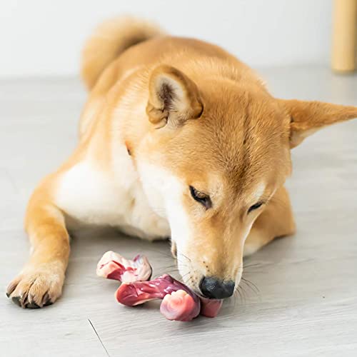 EETOYS Dog Toys for Aggressive Chewers Nearly Indestructible Dog Chew Toys for Large Medium Small Dogs Teething Puppies Durable (Branch Bone, Dogs up to 22 lbs)