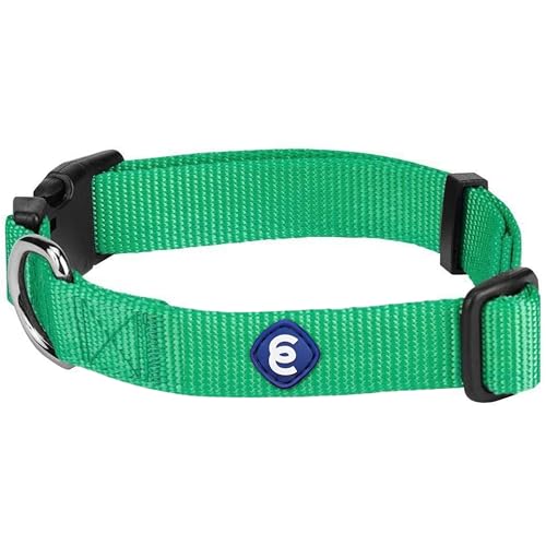 Blueberry Pet Essentials 21 Colors Classic Dog Collar, Emerald, Large, Neck 18"-26", Nylon Collars for Dogs