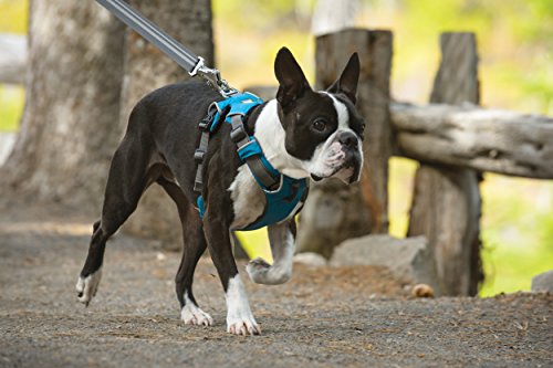 Ruffwear - Front Range All-Day Adventure Harness for Dogs