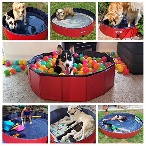 Foldable PVC Dog Pool for XLarge Dogs, 63 X 12 inch