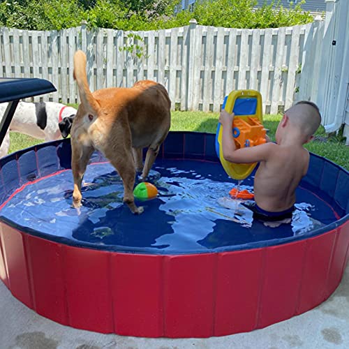Foldable PVC Dog Pool for XLarge Dogs, 63 X 12 inch