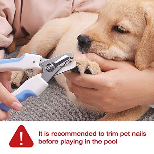 Foldable PVC Dog Pool for XLarge Dogs, 63 X 12 inch