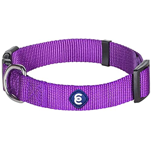 Blueberry Pet Essentials 21 Colors Classic Dog Collar, Dark Orchid, Small, Neck 12"-16", Nylon Collars for Dogs