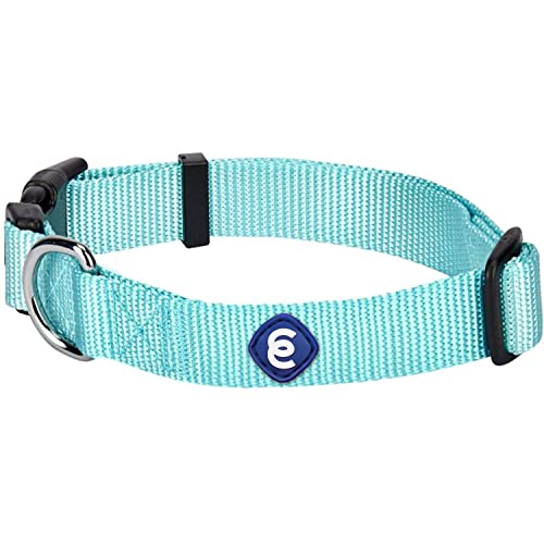 Blueberry Pet Essentials 21 Colors Classic Dog Collar, Mint Blue, Medium, Neck 14.5"-20", Nylon Collars for Dogs