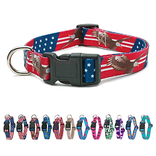 American Flag Dog Collar in 5 Different Sizes (Bald Eagle, Medium)
