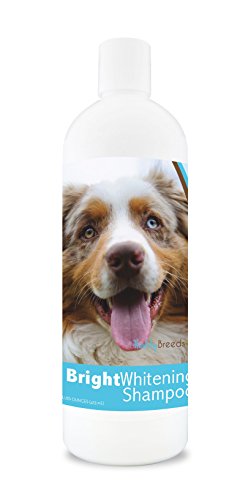 Australian Shepherd Bright Whitening Shampoo - 12 oz