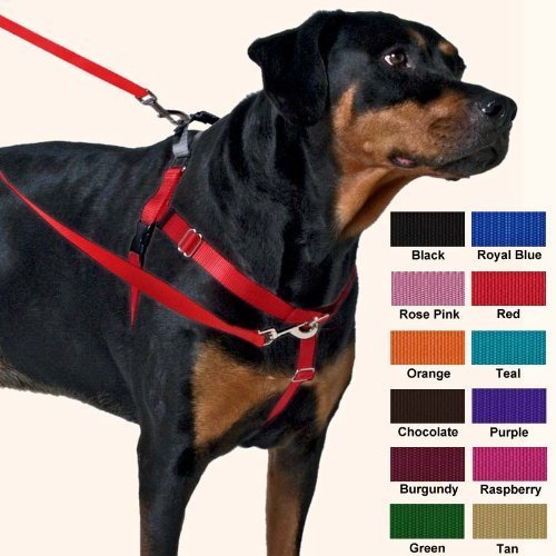 XXL Green No-Pull Harness for Wiggly Pets