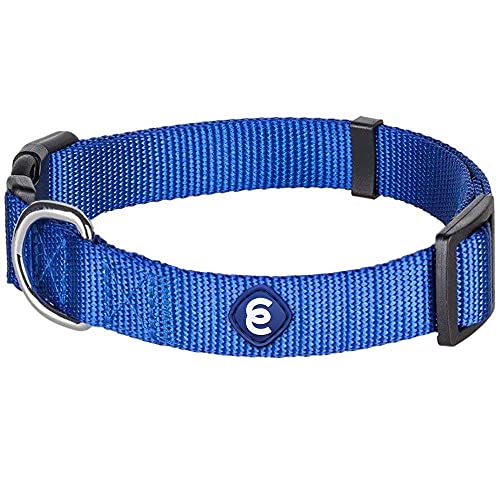 Blueberry Pet Classic Collar - Royal Blue, Medium
