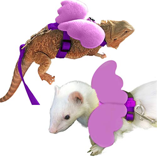 Bearded Dragon Leash and Harness - Soft Angel Wings- Ferret Harness for Bearded Dragon Reptile Lizard Ferret Hedgehog Large Chipmunk Squirrel Degu Rat and Gecko Safe Easy Walking