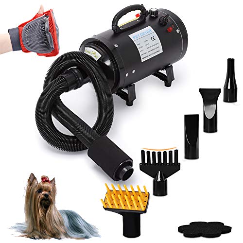 Free Paws Dog Dryer 4.0 HP 2 Speed Adjustable Heat Temperature Pet Dog Grooming Hair Dryer Blower Professional with 5 Different Nozzles and a Shower Massage Glove (Black)