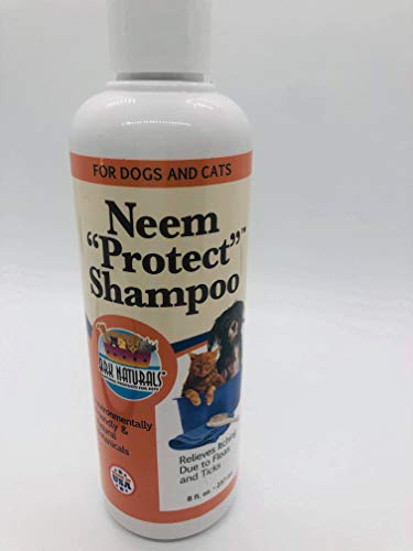 Ark Naturals Neem Protect Shampoo, 8 Fz