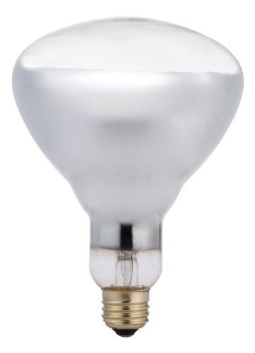 Philips 416750 Heat Lamp 125-Watt BR40 Clear Flood Light Bulb