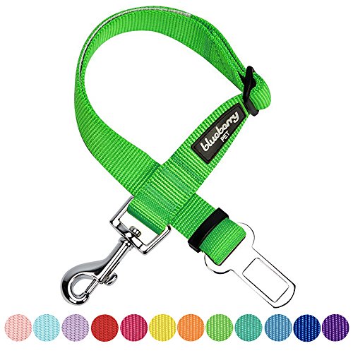 Blueberry Pet Essentials Classic Dog Seat Belt Tether for Dogs Cats, Neon Green, Durable Safety Car Vehicle Seatbelts Leads Use with Harness