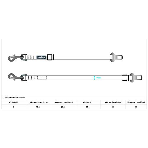 Blueberry Pet Essentials Classic Dog Seat Belt Tether for Dogs Cats, Royal Blue, Durable Safety Car Vehicle Seatbelts Leads Use with Harness