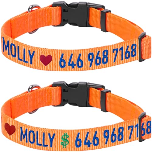 Blueberry Pet Essentials Personalized Dog Collar, Florence Orange, Medium, Adjustable Customized ID Collars for Medium Dogs Embroidered with Pet Name & Phone Number
