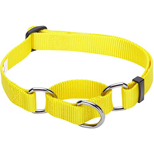 Blueberry Pet Essentials Martingale Safety Training Dog Collar, Blazing Yellow, Small, Heavy Duty Nylon Adjustable Collars for Dogs