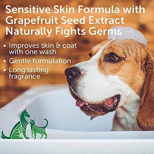 Nootie - Pet Shampoo for Sensitive Skin - Revitalizes Dry Skin & Coat - Natural Ingredients - Soap, Paraben & Sulfate Free - Cleans & Conditions