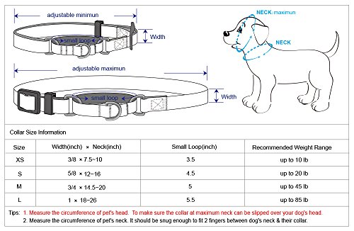 Blueberry Pet Essentials Martingale Safety Training Dog Collar, Blazing Yellow, Small, Heavy Duty Nylon Adjustable Collars for Dogs