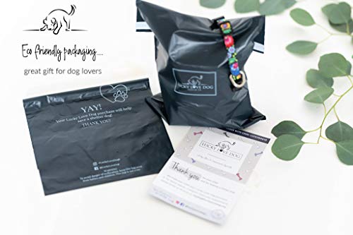 Lucky Love Dog Collars, Vivid Floral Girl or Boy Dog Collar for Small Dogs, Spring & Summer Themed Flower Print, Blackbird, Small