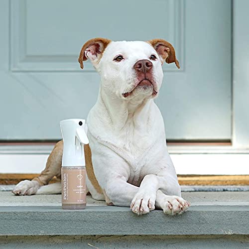 PetPotion No Rinse, Waterless, Spray Misting Shampoo for Dogs| USDA Organic| Reusable & Refillable (Calm - Vanilla Scented - 5.5 oz)