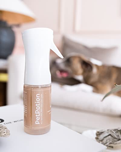 PetPotion No Rinse, Waterless, Spray Misting Shampoo for Dogs| USDA Organic| Reusable & Refillable (Calm - Vanilla Scented - 5.5 oz)