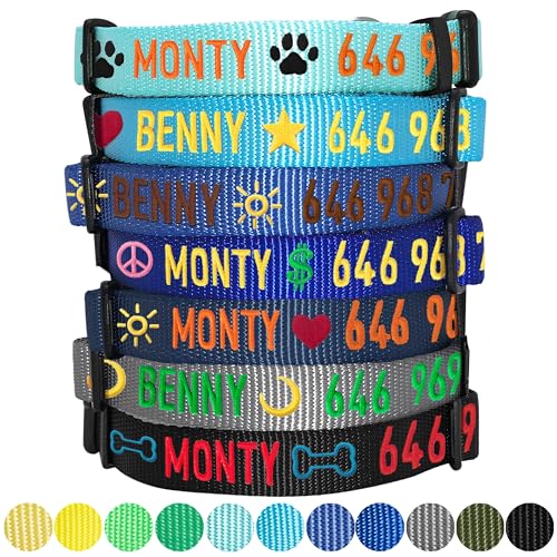 Blueberry Pet Essentials Personalized Dog Collar, Turquoise, Medium, Adjustable Customized ID Collars for Medium Dogs Embroidered with Pet Name & Phone Number