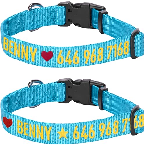 Blueberry Pet Essentials Personalized Dog Collar, Turquoise, Medium, Adjustable Customized ID Collars for Medium Dogs Embroidered with Pet Name & Phone Number